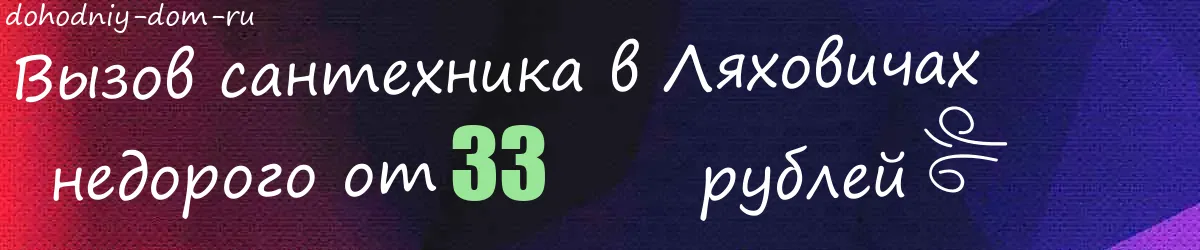 Сантехник в Ляховичах